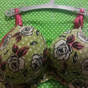 Lane bryant bra